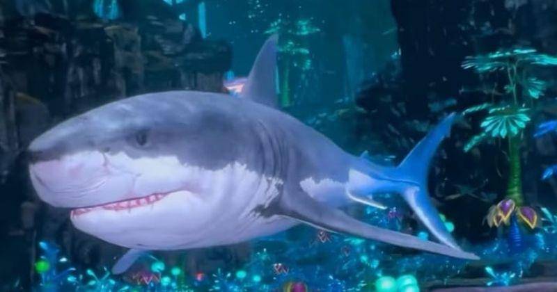 Instagram.com/iaselvia